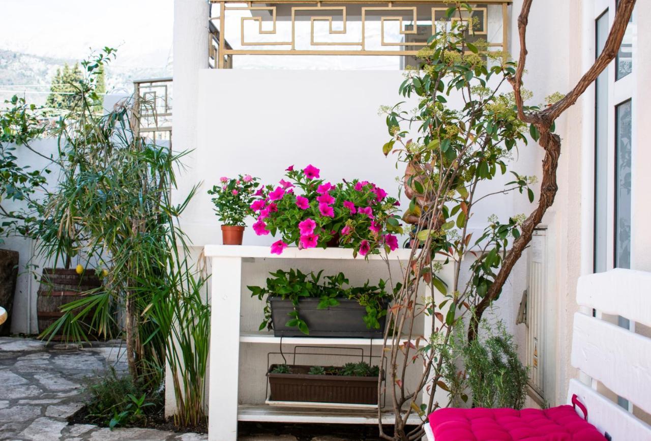 Apartment Vila Simona